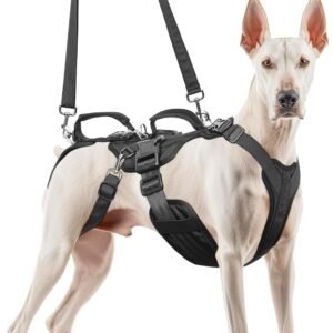 Blinlit Dog Lift Harness