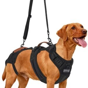 Dog Lift Harness