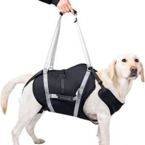 Dog Lift Harness