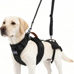 Dog Lift Harness for Male Dogs