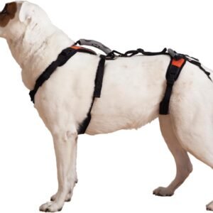 Help 'Em Up Dog Lift Harness