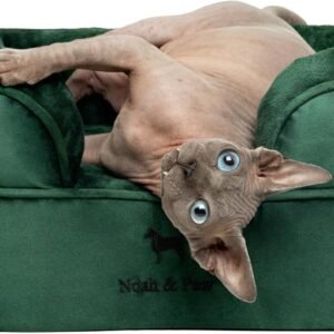 NOAH & PAW Small Dog Bed