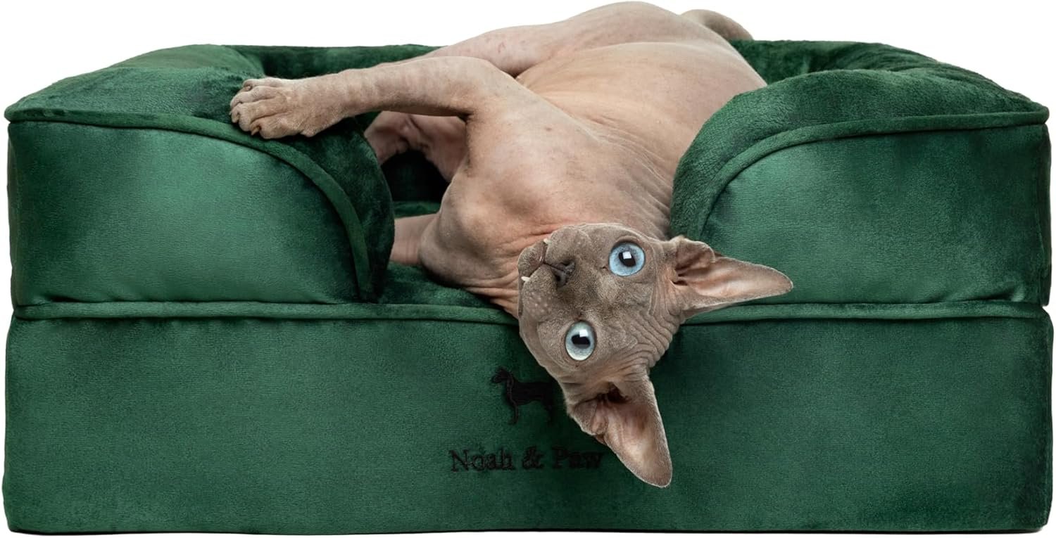 NOAH & PAW Small Dog Bed
