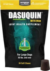 Nutramax Dasuquin for Large Dogs