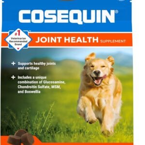 Nutramax Laboratories Cosequin DS Plus MSM