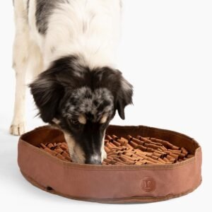 Reggie Snuffle Mat