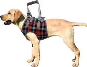 ROZKITCH Dog Lift Harness