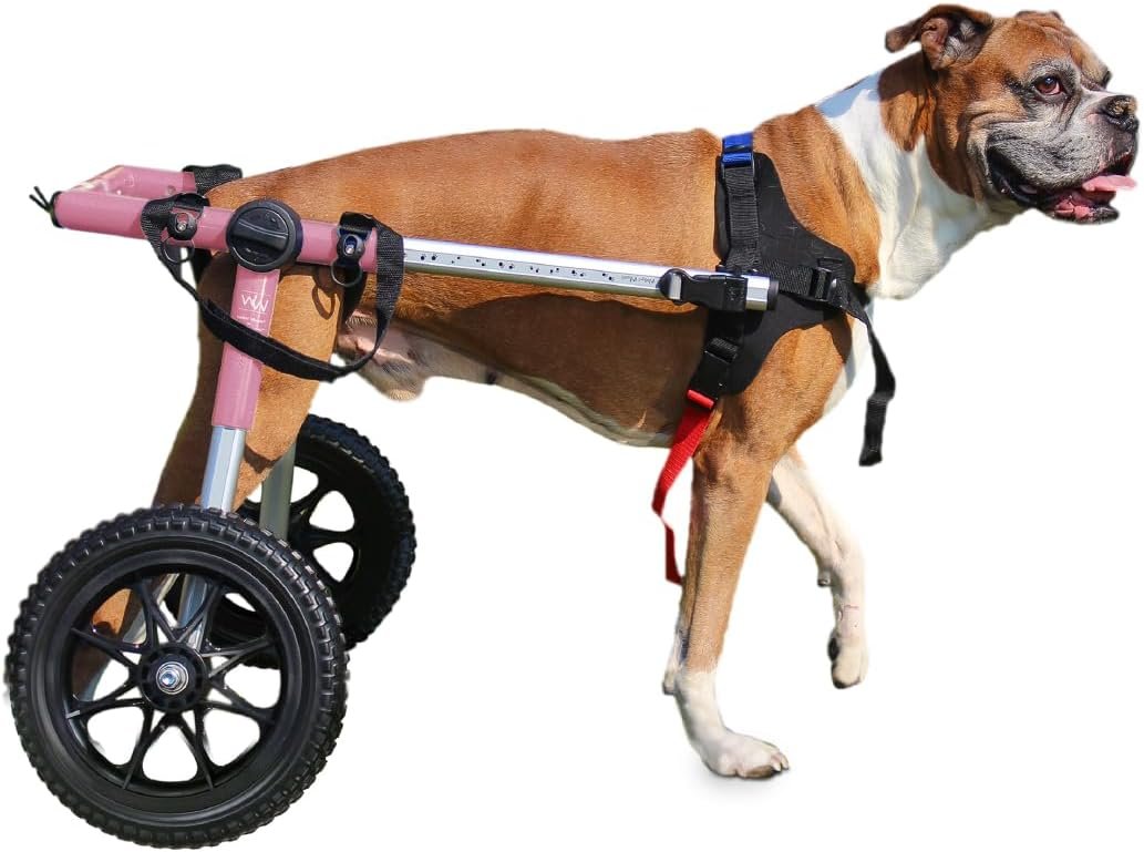 Walkin' Wheels Dog Wheelchair