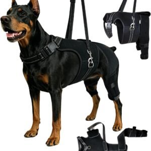 2-in-1 Dog Knee Brace and Lift Harness