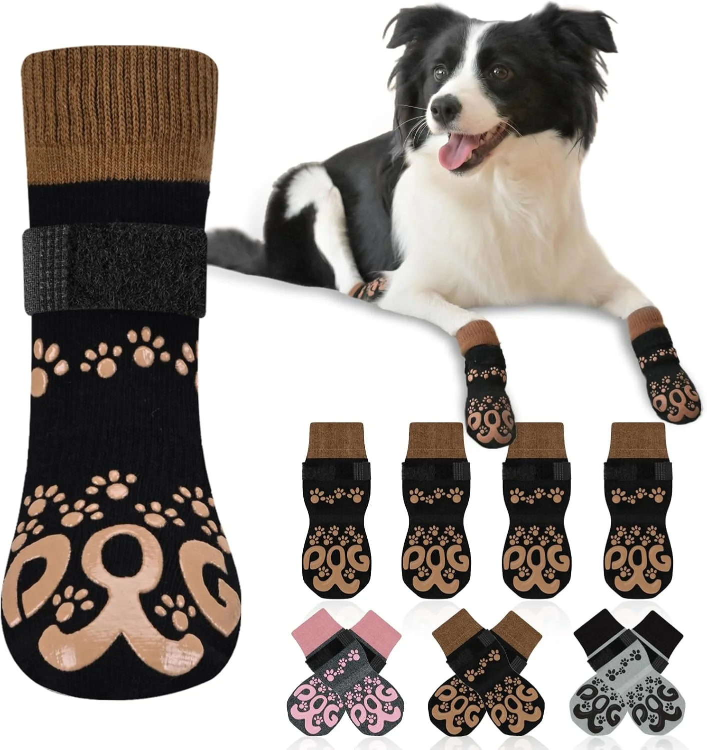 Close-up of anti-slip dog socks on a senior dog's paw