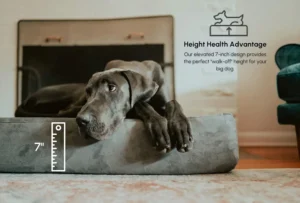Barker Beds Large Orthopedic Dog Bed