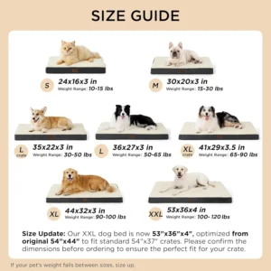 Bedsure Dog Beds Large Sized Dog - Comfy Flat Pet Beds with Removable Washable Cover, Orthopedic Egg Crate Foam Puppy Mat, Suitable for Pet Up to 65 lbs view 7