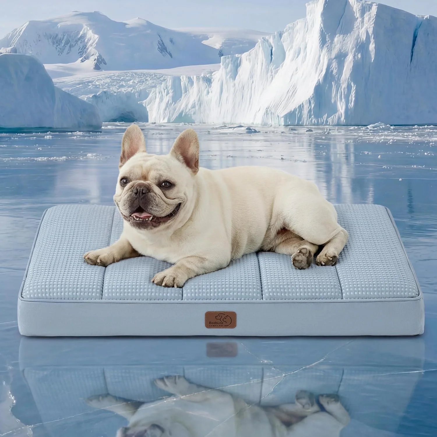Bedsure Self Warming Dog Bed Large in a home setting with a senior dog