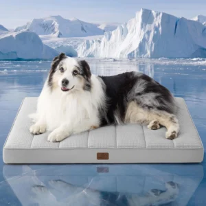 Bedsure Self Warming Dog Bed Large