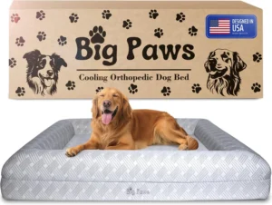 Big Paws Cooling Orthopedic Dog Bed