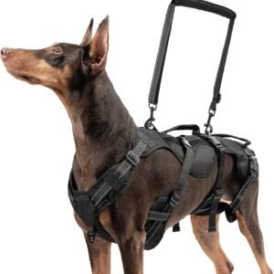 BINGPET Dog Lift Harness