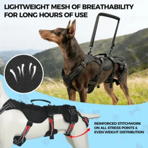 BINGPET Dog Lift Harness view 3