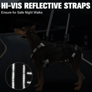 BINGPET Dog Lift Harness view 4