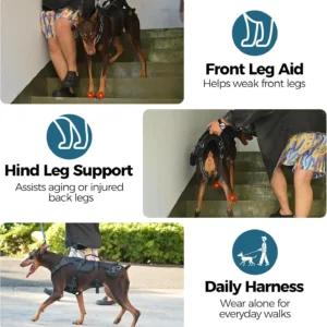 BINGPET Dog Lift Harness view 5