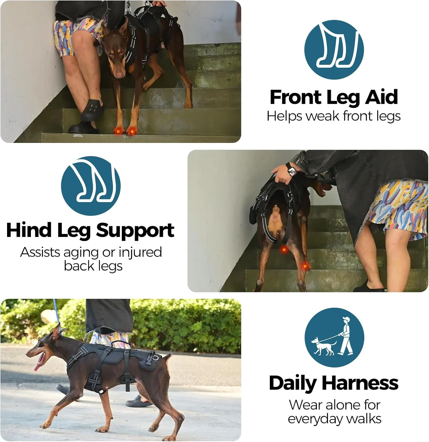 BINGPET Dog Lift Harness shown on a medium to large dog, illustrating its secure fit