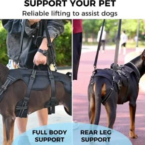 BINGPET Dog Lift Harness view 6