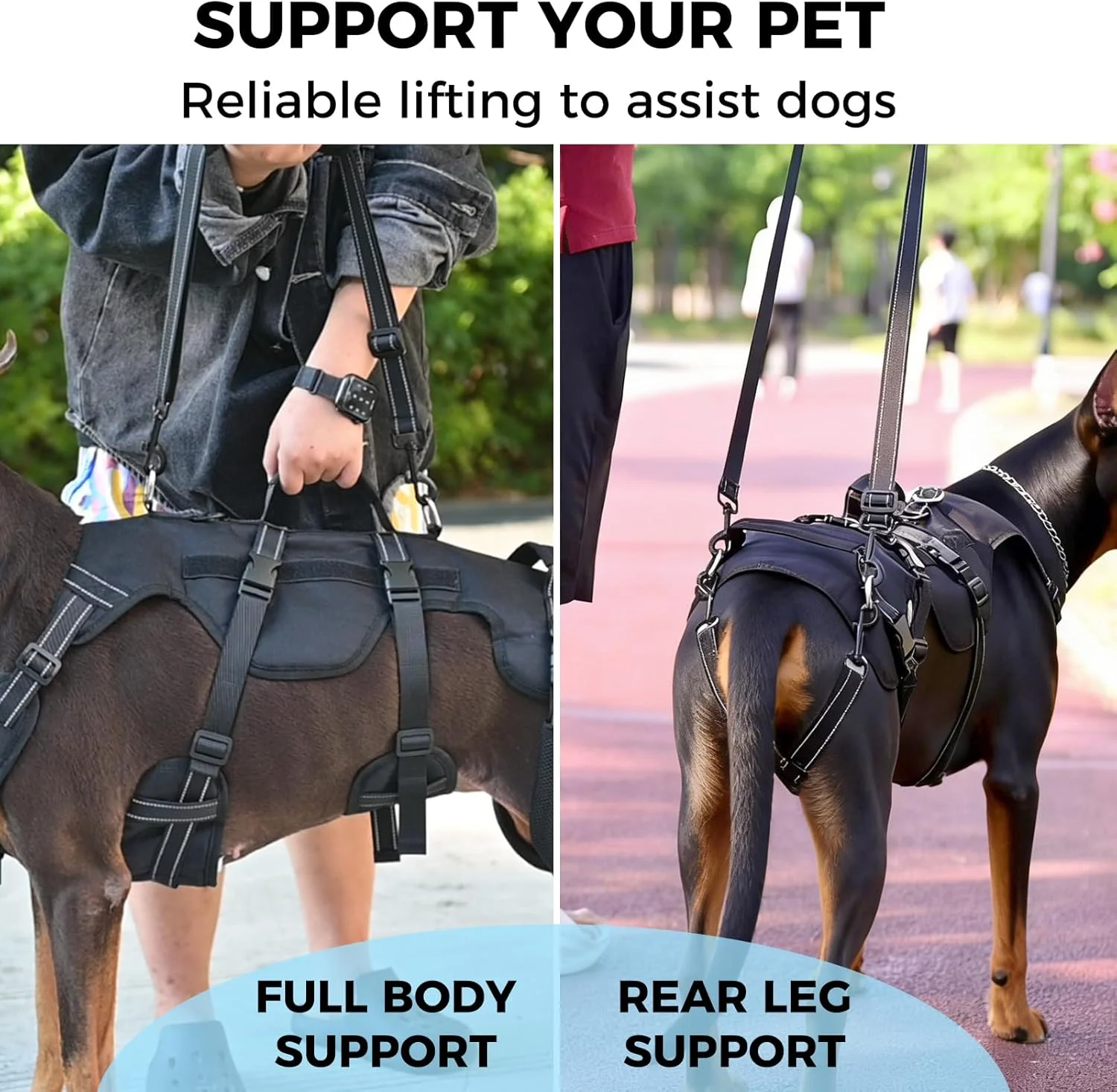 Side profile of a senior dog wearing the BINGPET Dog Lift Harness comfortably