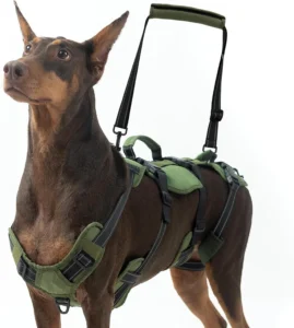 BINGPET Dog Lift Harness