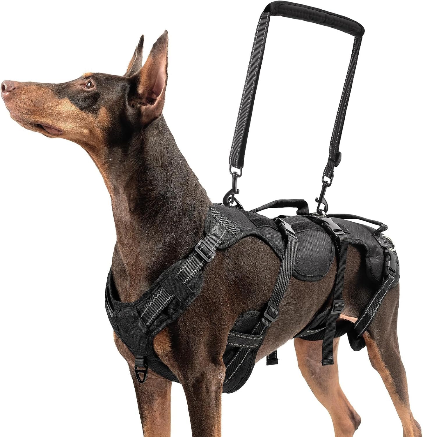 BINGPET Dog Lift Harness