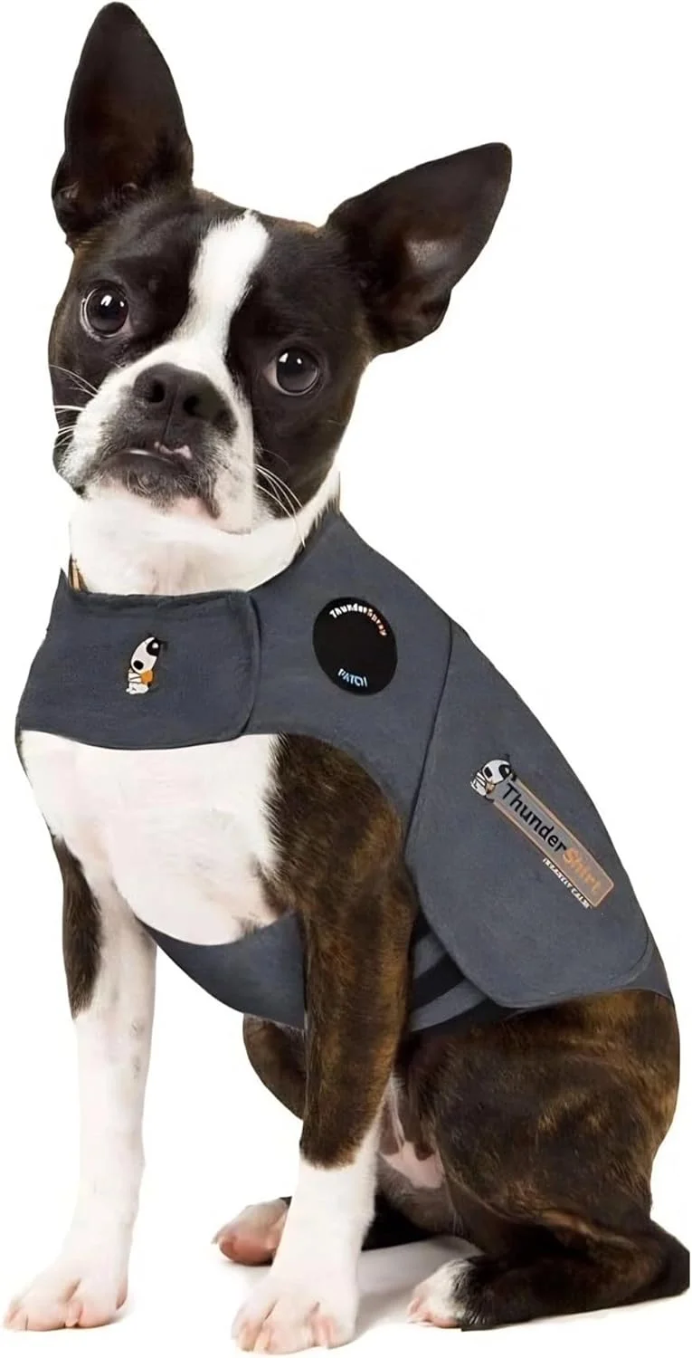 A senior dog comfortably resting while wearing the Comfortable Shirt Thunder Dog Anxiety Jacket