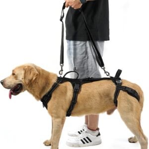 COODEO Mobility Lift Harness