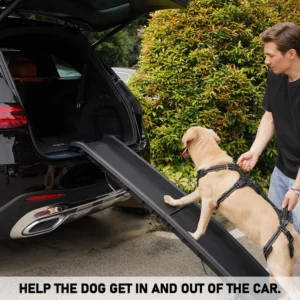 COODEO Mobility Lift Harness view 2