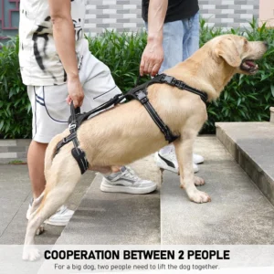 COODEO Mobility Lift Harness view 3