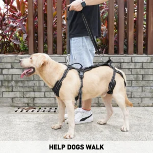 COODEO Mobility Lift Harness view 4
