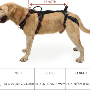 COODEO Mobility Lift Harness view 5