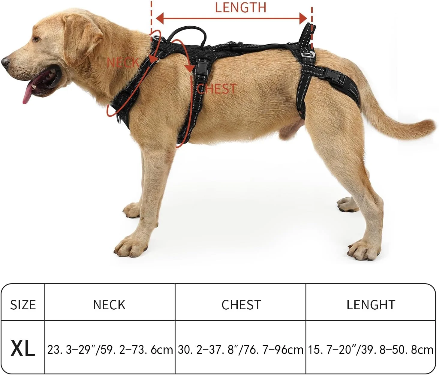 The COODEO Mobility Lift Harness being easily cleaned, demonstrating its water-washable feature
