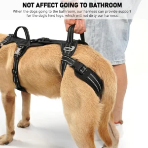 COODEO Mobility Lift Harness view 6