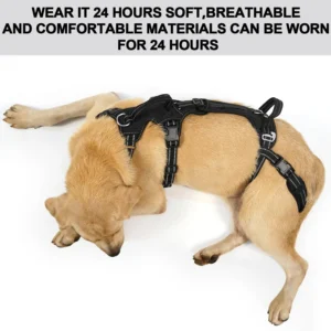 COODEO Mobility Lift Harness view 7