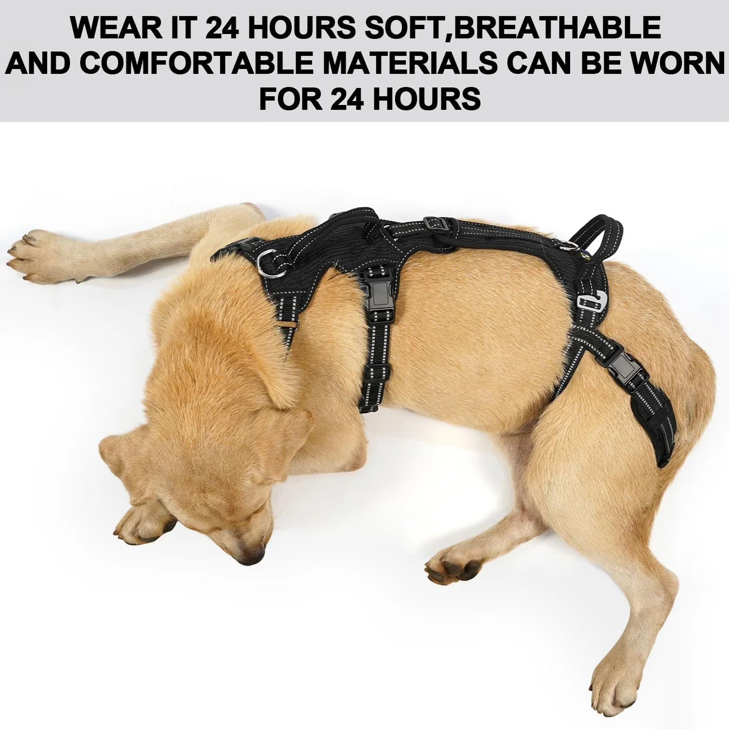 A happy senior dog being gently assisted with the COODEO Mobility Lift Harness on stairs
