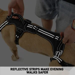 COODEO Mobility Lift Harness