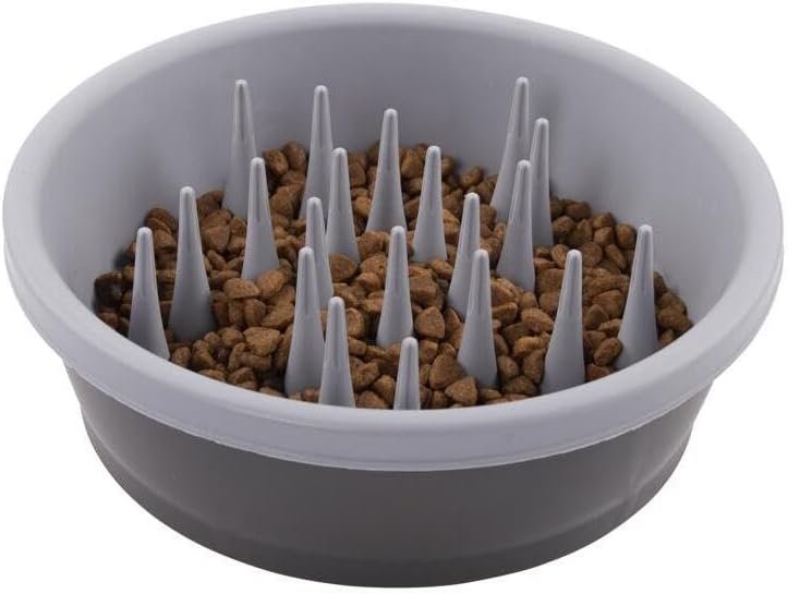 Dexas Slow Feeder Dog Bowl