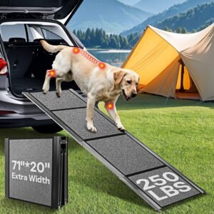 Dog Ramp for Large Dogs