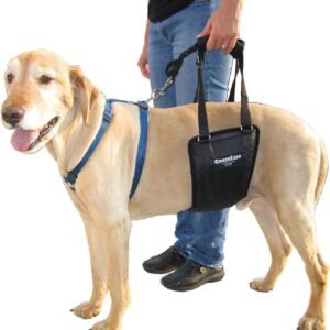 GingerLead Dog Rear Support Sling Harness