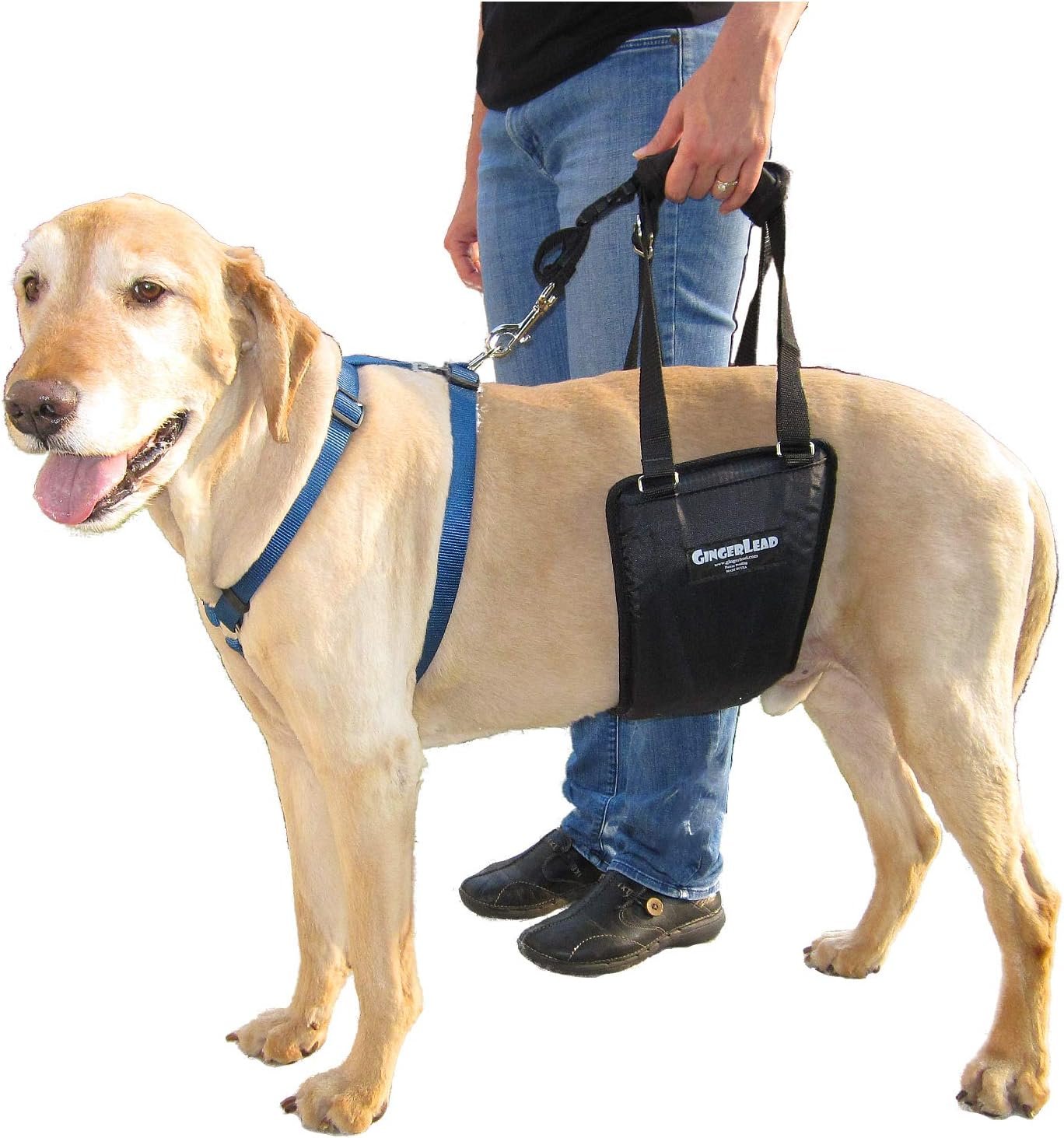 GingerLead Dog Rear Support Sling Harness