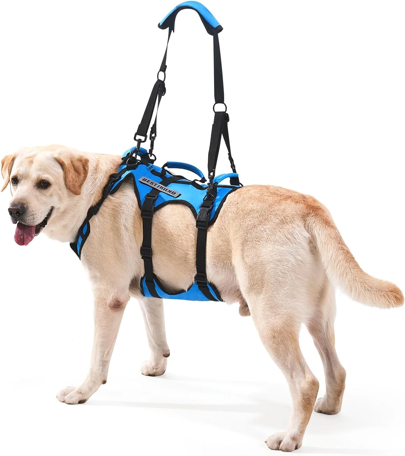 Lafoty Dog Lift Harness showing padded belly strap for comfort