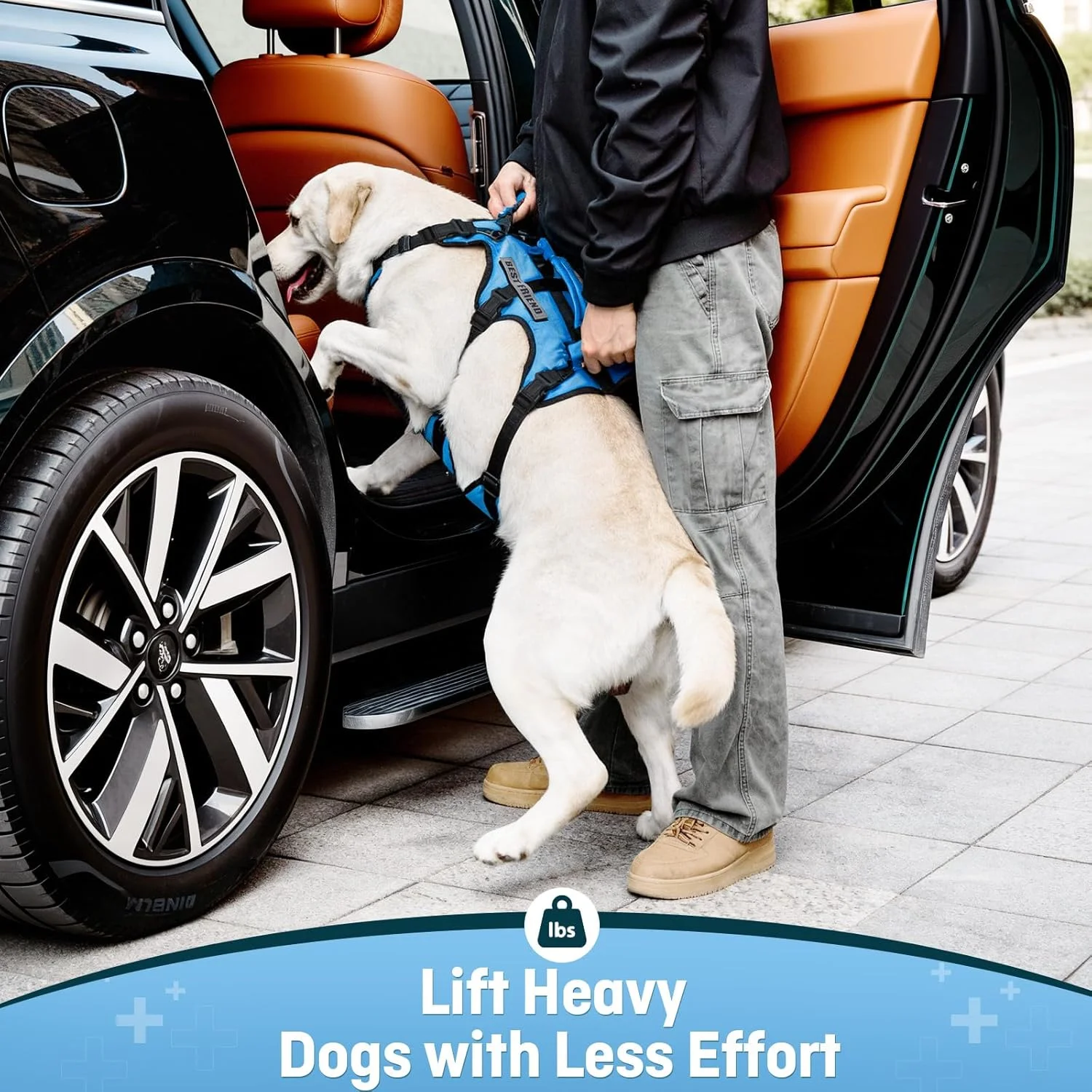 Lafoty Dog Lift Harness with reinforced multi-directional handles