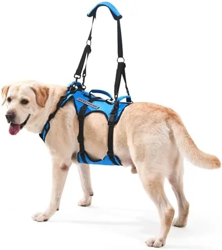 Lafoty Dog Lift Harness on a senior dog demonstrating full body support