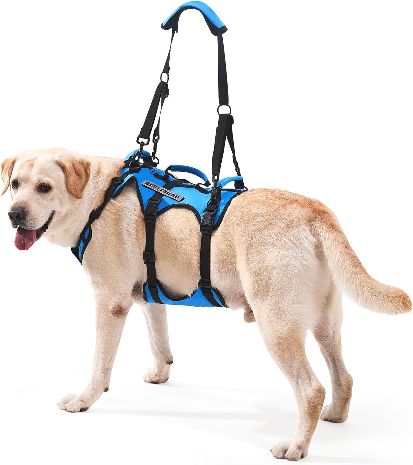 Lafoty Dog Lift Harness