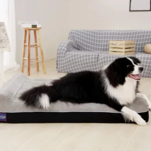 Laifug Orthopedic Dog Beds for Large Dogs,7" Memory Foam Dog Beds,Durable Water Proof Liner Removable and Washable, Nonskid Bottom, Slate Grey 50"x36"x10"