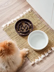 LE TAUCI Ceramic Slow Feeder Dog Bowls
