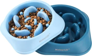 MateeyLife Slow Feeder Dog Bowls